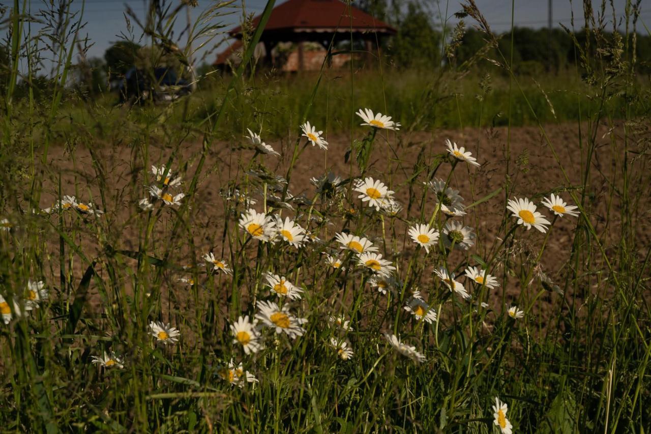Rustykalne Klimaty Villa Majdan Zbydniowski Exterior photo